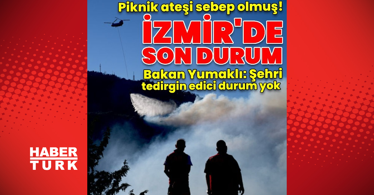 İzmir yangınına müdahale devam ediyor! Piknik ateşinden çıkmış
