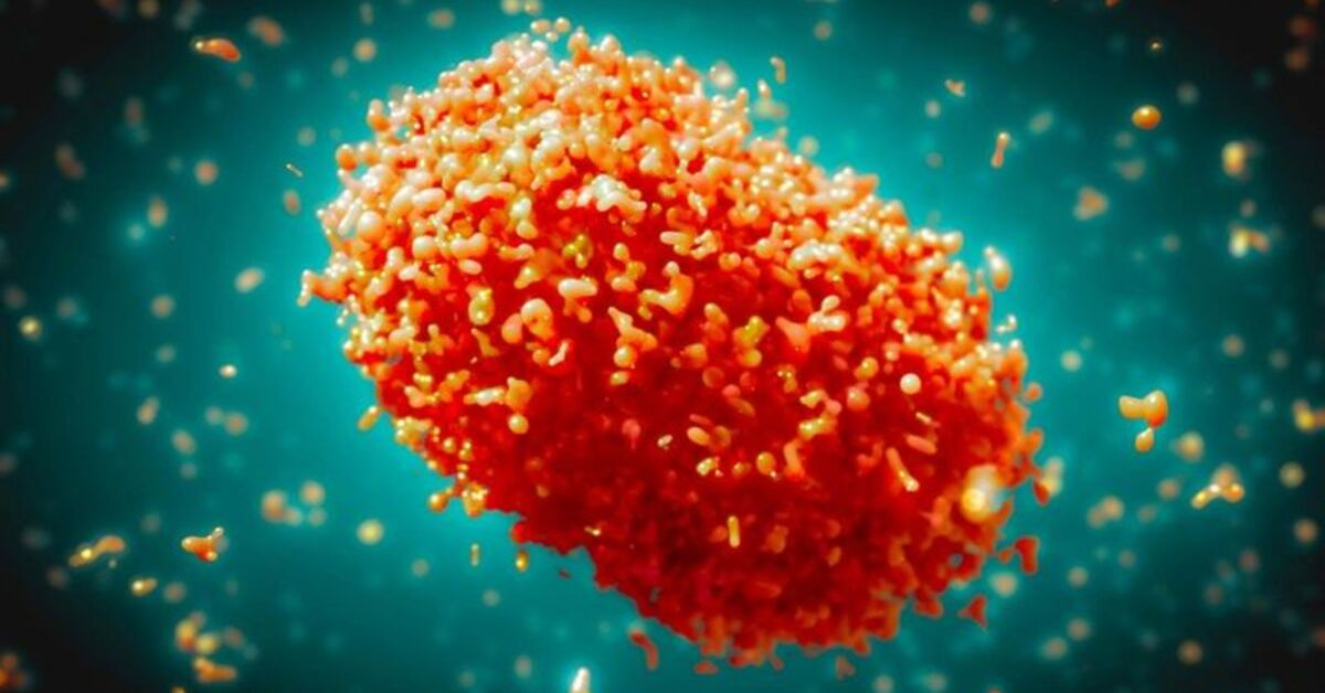 Prof. Dr. İsmail Balık’tan “M çiçeği hastalığı” açıklaması