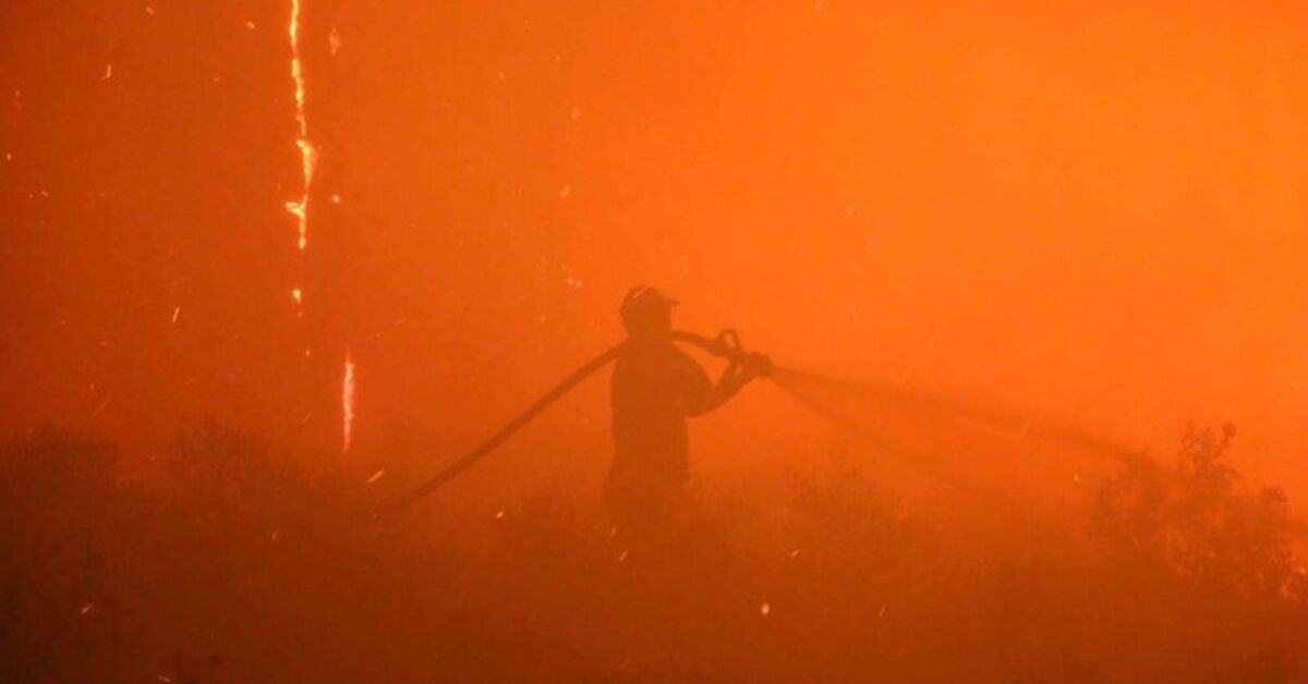 Türkiye orman yangınlarıyla mücadele ediyor! Manisa, Aydın, Bolu…